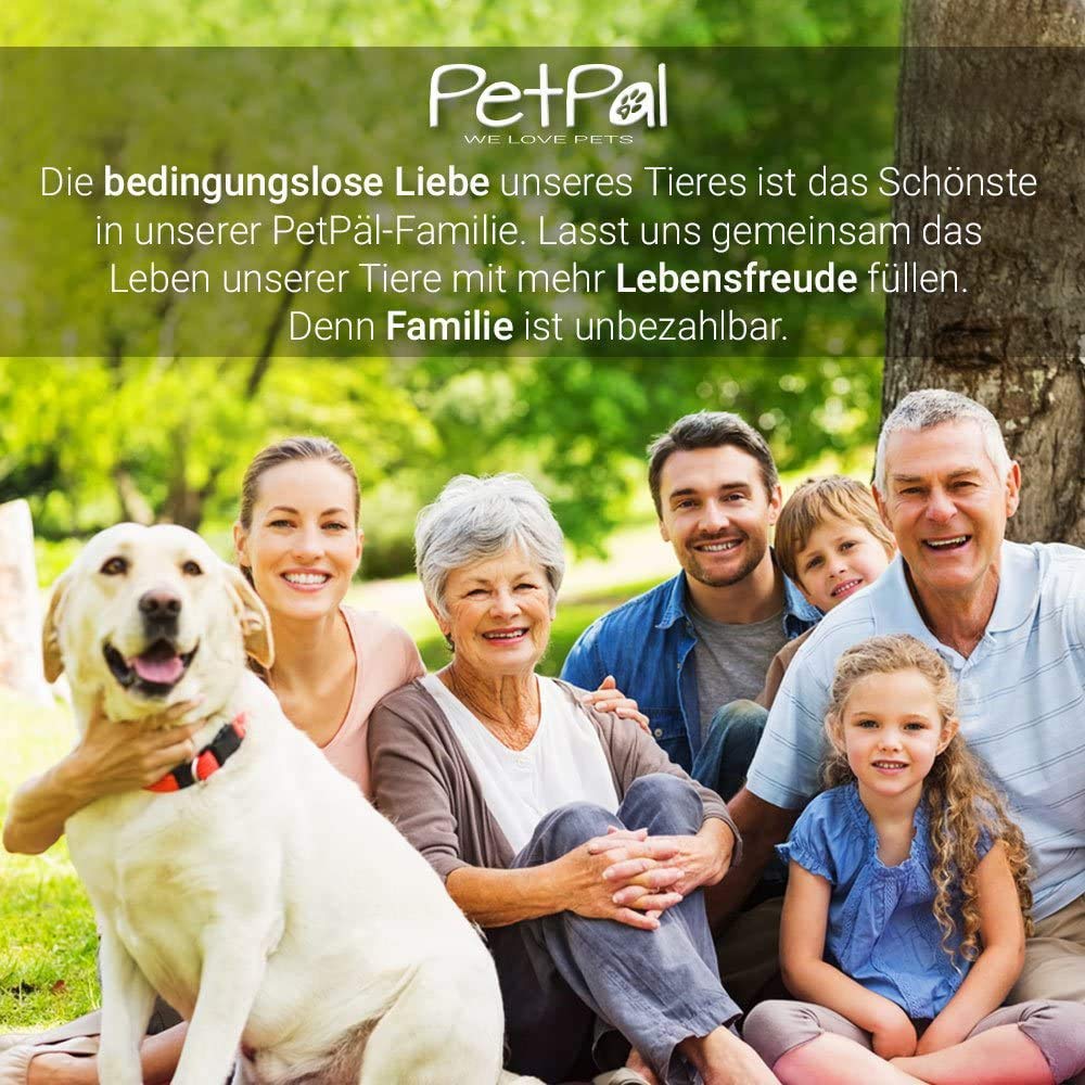 PetPäl Behandla Laxkräm i ett rör "TuboSnack" - Premium Godis för hunden utan spannmål, socker eller salt - Även för valpar - Naturligt Läckerle, Hundgodis, Snack for Hundar - Made in Germany